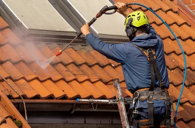 Démoussage et hydrofuge de toiture à Davignac